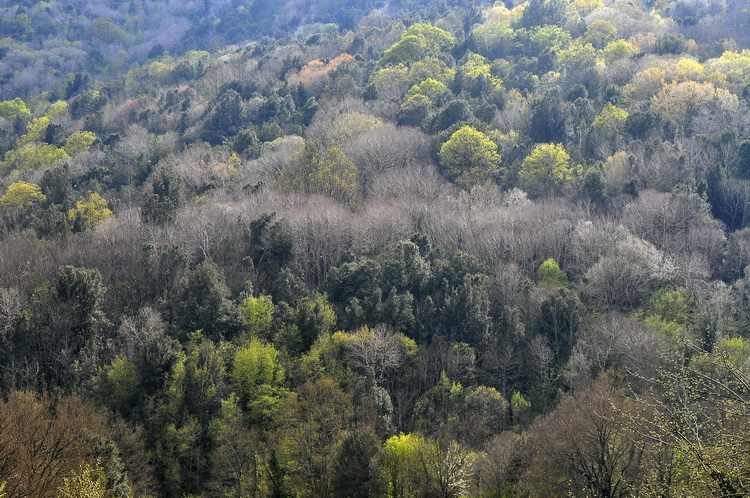 Valle del Farma e Stagno della Troscia: luoghi meravigliosi!